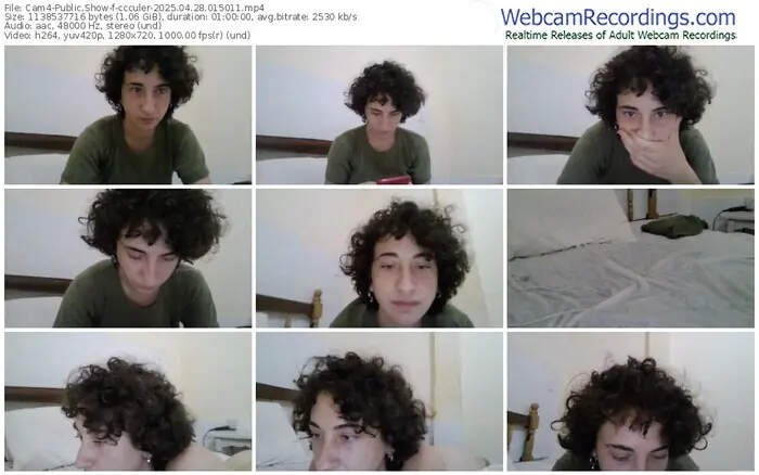 2025/04/28/cam4-ccculer-01-50-11