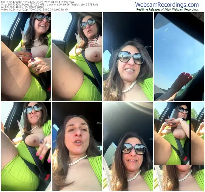 2025/04/29/cam4-mejoborg-11-13-39