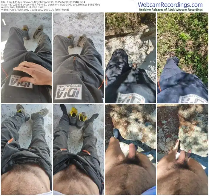 2025/04/30/cam4-boyofdreams90-08-33-48