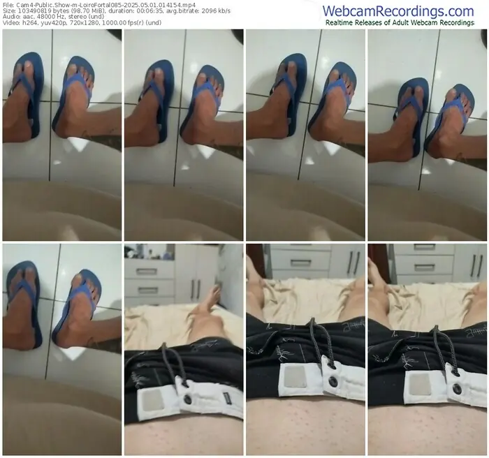 2025/05/01/cam4-loirofortal085-01-41-54