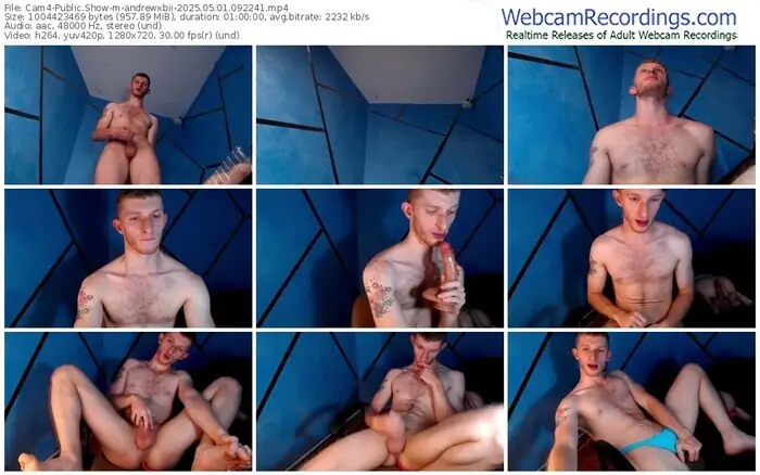 2025/05/01/cam4-andrewxbii-09-22-41