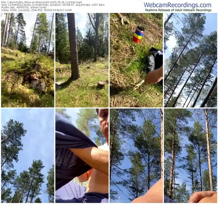 2025/05/01/cam4-likescock5-11-03-20