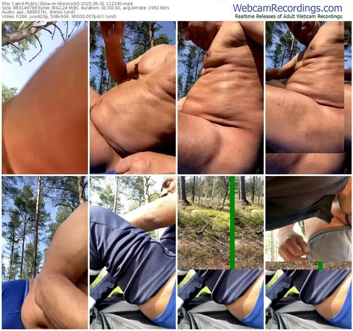 2025/05/01/cam4-likescock5-11-22-40