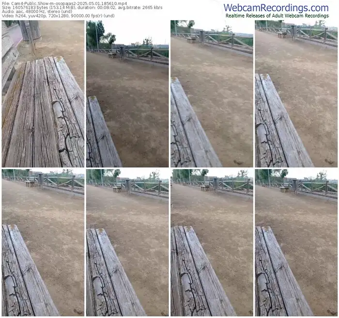 2025/05/01/cam4-osopajas2-18-56-10