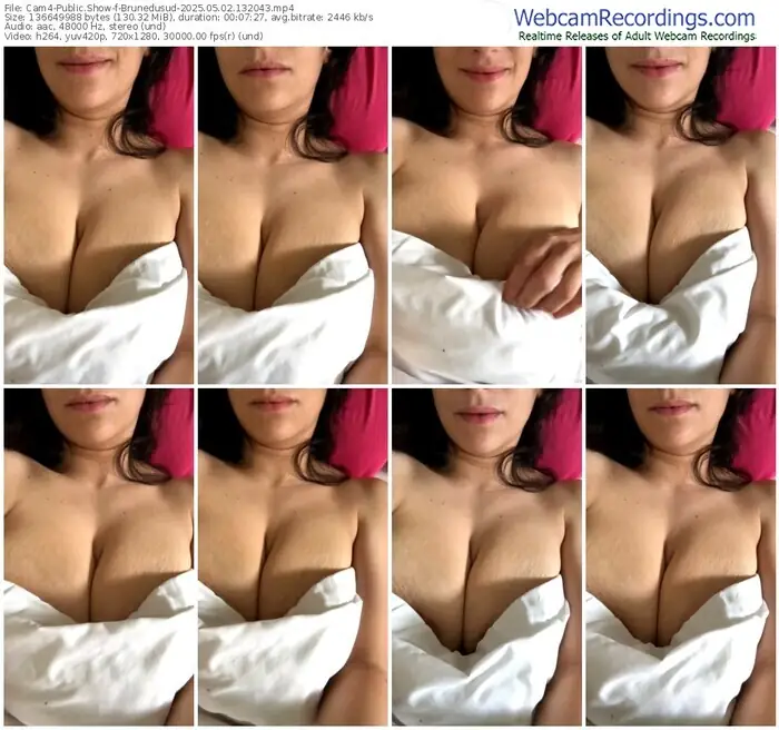 2025/05/02/cam4-brunedusud-13-20-43