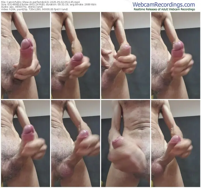 2025/05/02/cam4-perfectdick21-05-11-45