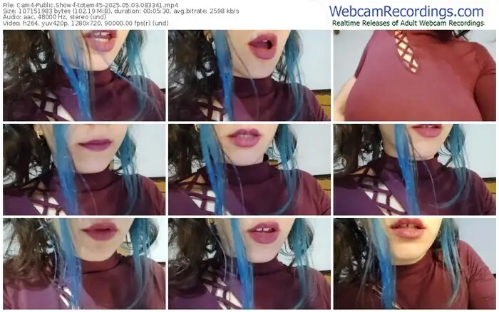 2025/05/03/cam4-totem45-08-33-41