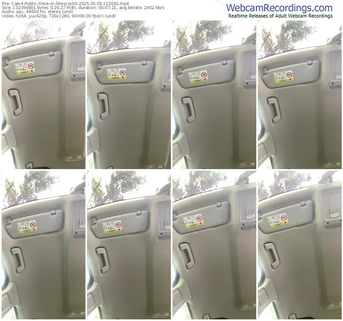 2025/05/03/cam4-likescock5-11-00-42