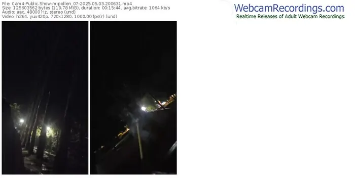 2025/05/03/cam4-pollen_07-20-06-31