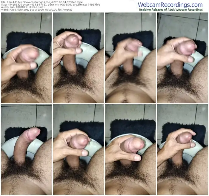 2025/05/04/cam4-gatogostoso_-02-33-48