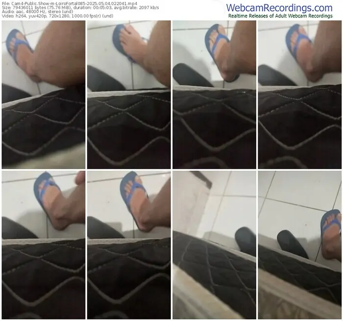 2025/05/04/cam4-loirofortal085-02-20-41