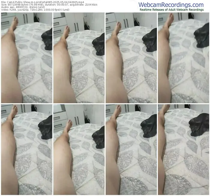 2025/05/04/cam4-loirofortal085-04-29-05