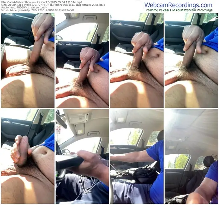 2025/05/04/cam4-likescock5-12-15-44