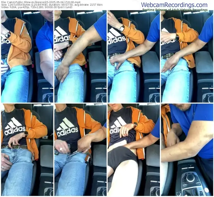 2025/05/04/cam4-likescock5-15-31-00