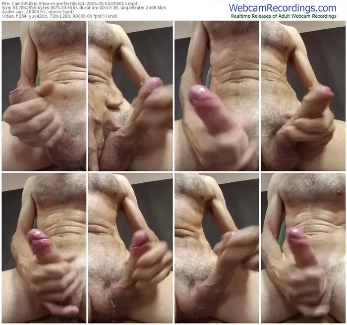 2025/05/04/cam4-perfectdick21-05-00-14