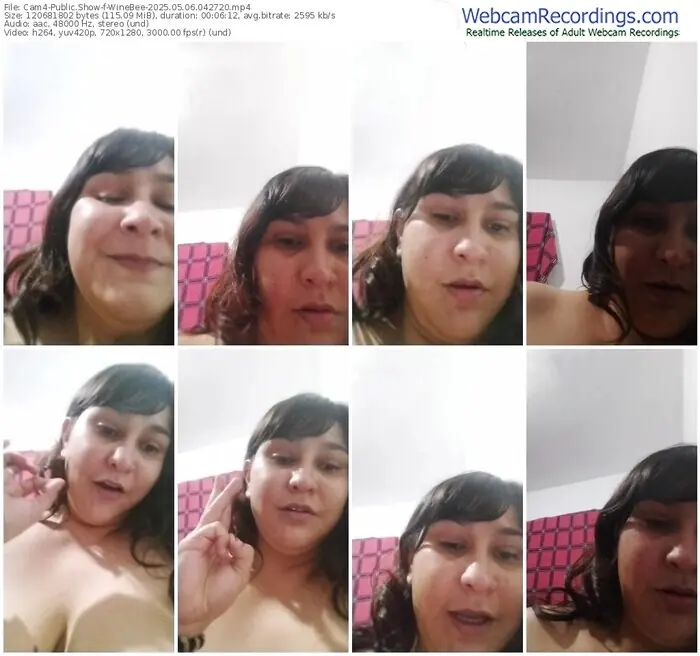 2025/05/06/cam4-winebee-04-27-20