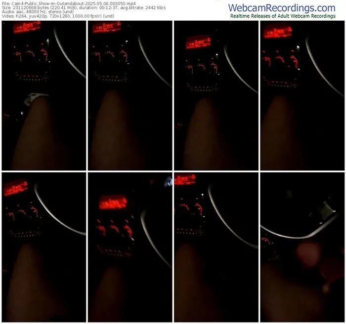 2025/05/06/cam4-outandabout-00-30-50