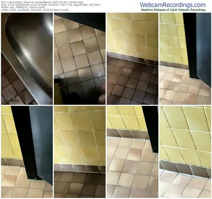 2025/05/06/cam4-outandabout-17-44-00