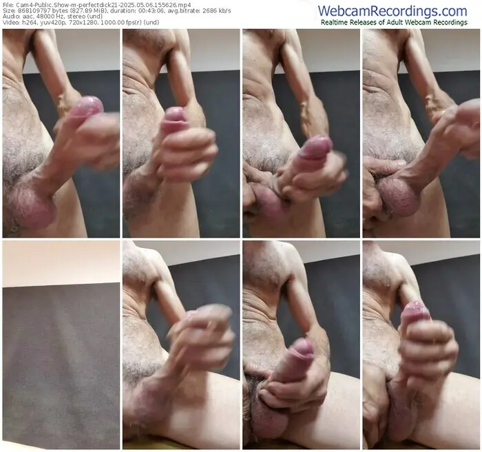 2025/05/06/cam4-perfectdick21-15-56-26