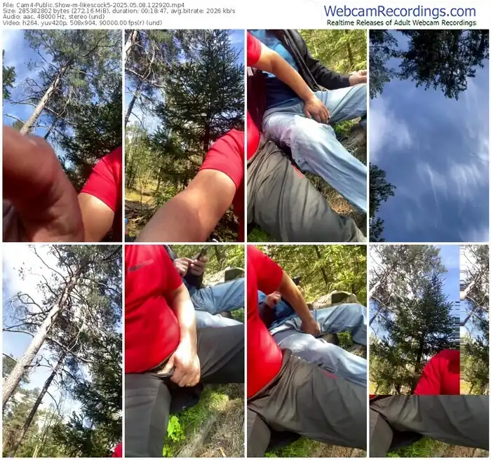 2025/05/08/cam4-likescock5-12-29-20