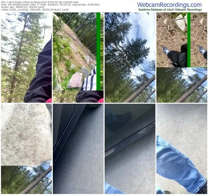 2025/05/08/cam4-likescock5-13-24-39