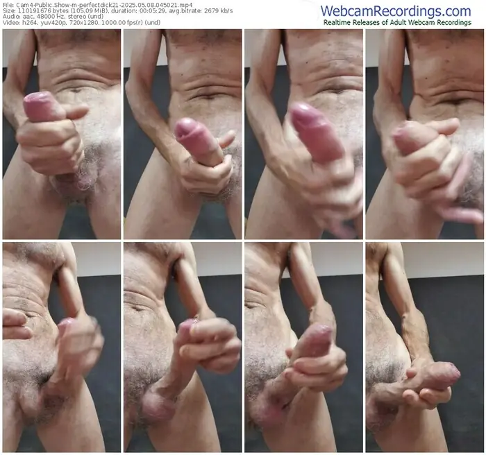 2025/05/08/cam4-perfectdick21-04-50-21