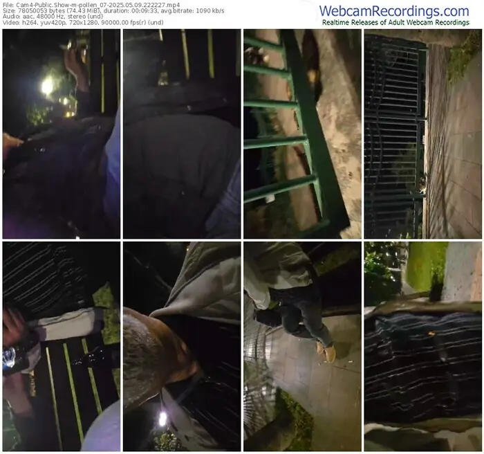 2025/05/09/cam4-pollen_07-22-22-27
