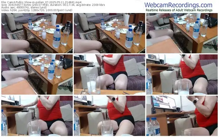 2025/05/11/cam4-pollen_07-21-48-41