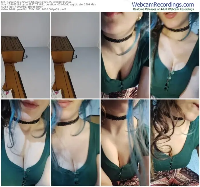 2025/05/12/cam4-totem45-09-08-33