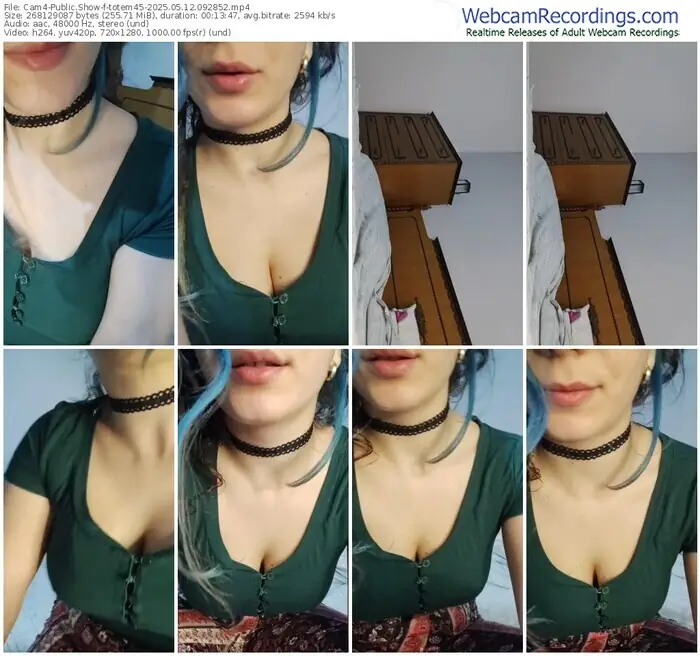 2025/05/12/cam4-totem45-09-28-52