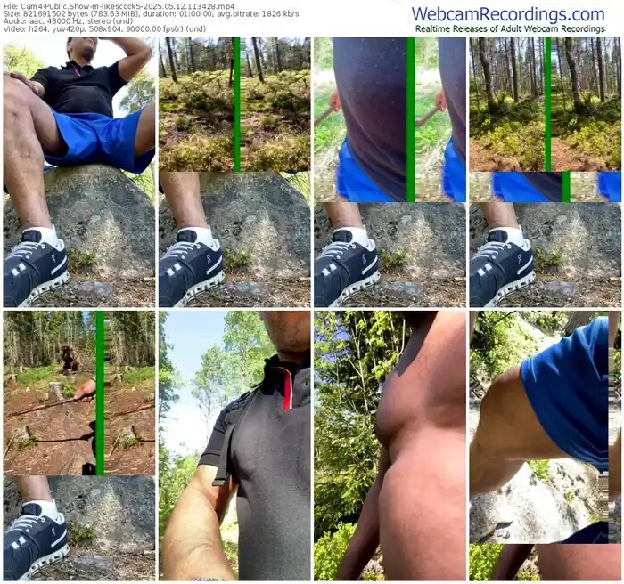 2025/05/12/cam4-likescock5-11-34-28