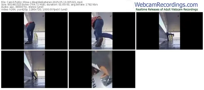 2025/05/13/cam4-beardedveteran-00-53-21