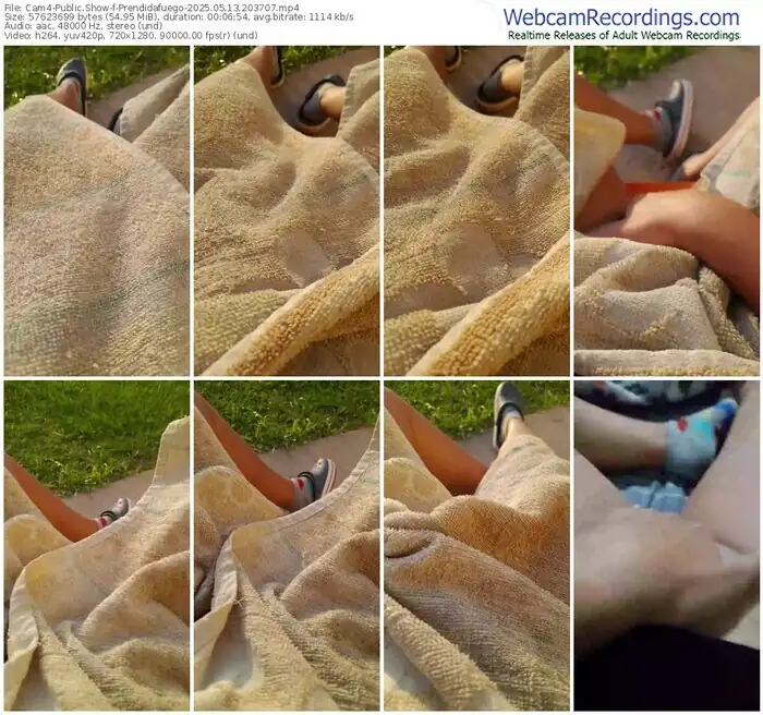 2025/05/13/cam4-prendidafuego-20-37-07