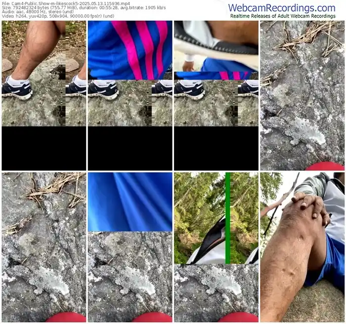 2025/05/13/cam4-likescock5-11-59-36