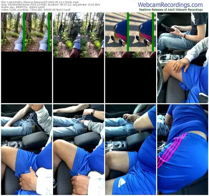 2025/05/13/cam4-likescock5-17-06-31