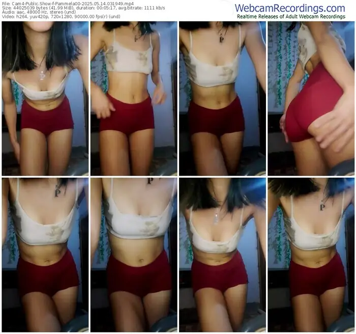 2025/05/14/cam4-pammela00-03-19-49