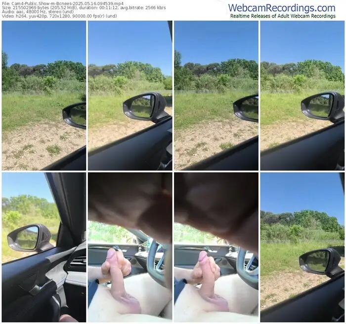 2025/05/16/cam4-bcnees-09-45-39