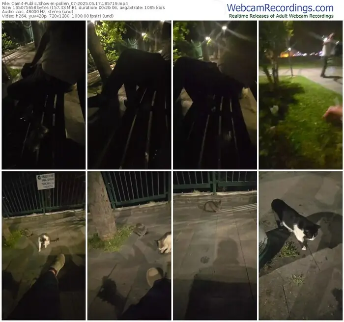 2025/05/17/cam4-pollen_07-18-57-19