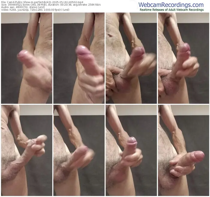 2025/05/18/cam4-perfectdick21-14-05-02