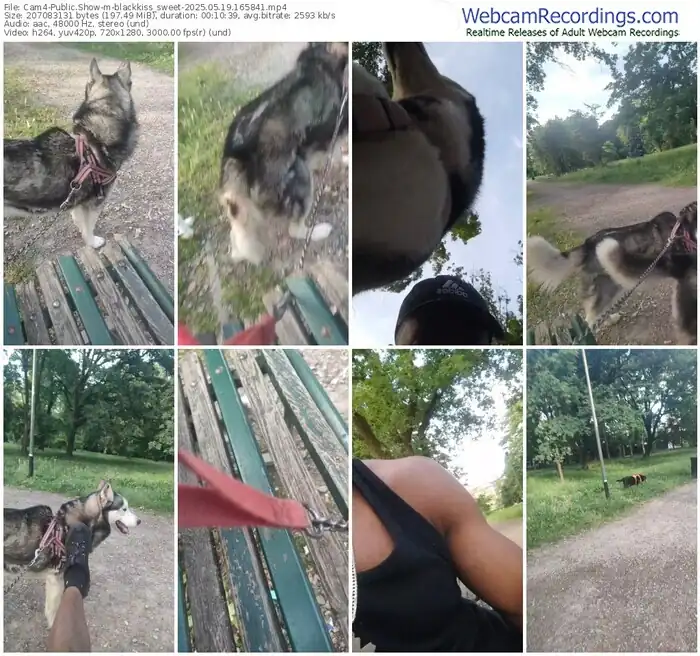 2025/05/19/cam4-blackkiss_sweet-16-58-41