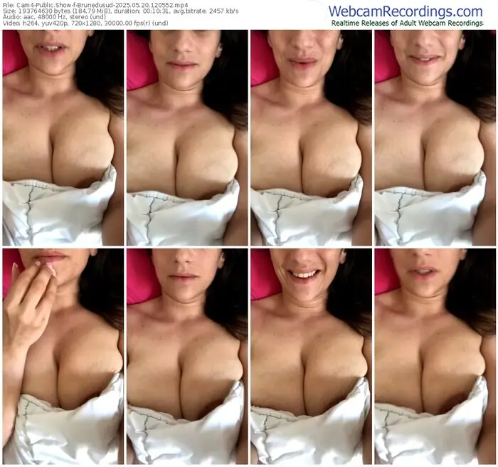 2025/05/20/cam4-brunedusud-12-05-52