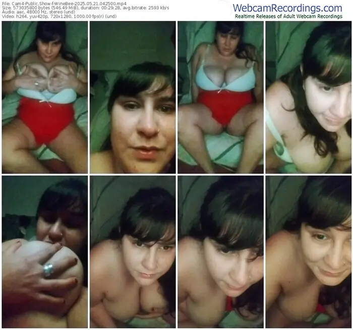 2025/05/21/cam4-winebee-04-25-00