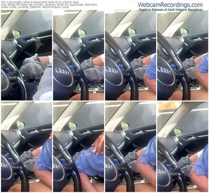 2025/05/21/cam4-likescock5-15-02-21