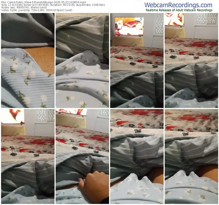 2025/05/22/cam4-prendidafuego-16-38-59