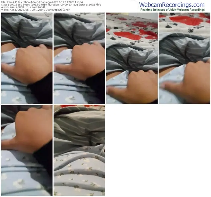 2025/05/22/cam4-prendidafuego-17-03-11