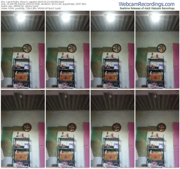 2025/05/23/cam4-_sapeka-20-03-59