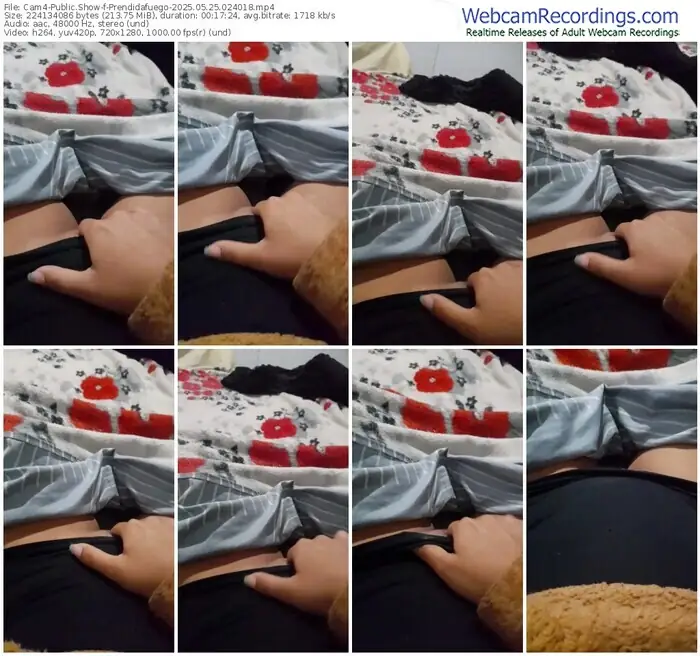 2025/05/25/cam4-prendidafuego-02-40-18