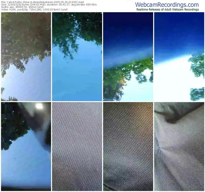 2025/05/25/cam4-beardedveteran-01-33-47