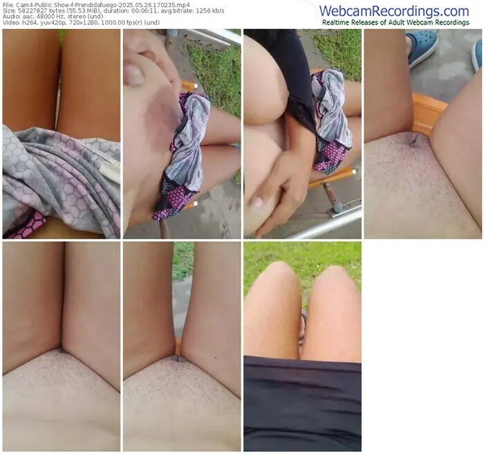 2025/05/26/cam4-prendidafuego-17-02-35