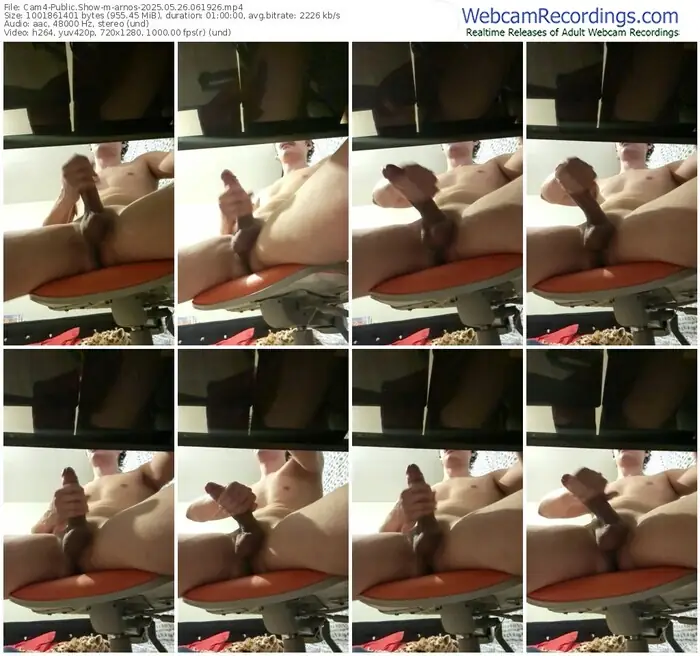 2025/05/26/cam4-arnos-06-19-26